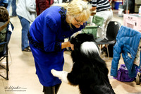 Intact Novice Dog