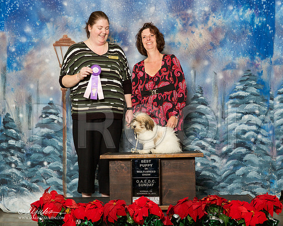 _R2_0961-2-NrmnNov2015-HR3