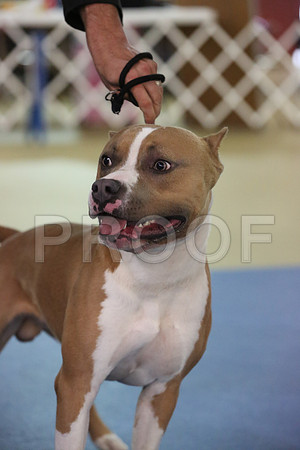 APBT-9943-HR
