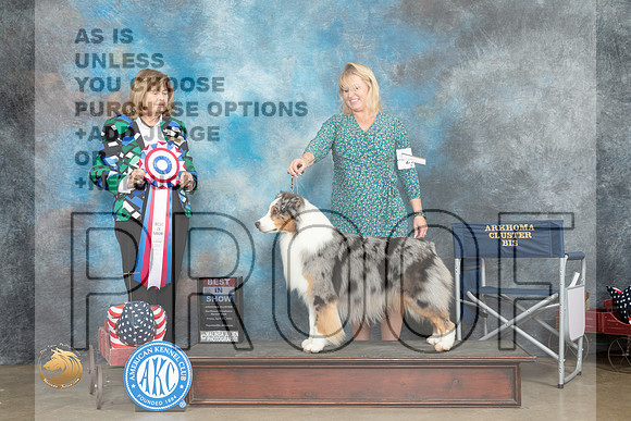Australian Shepherd #29 Fri BIS Judge Linn Klingel Brown_MJ_6316_ARK2023_HR3