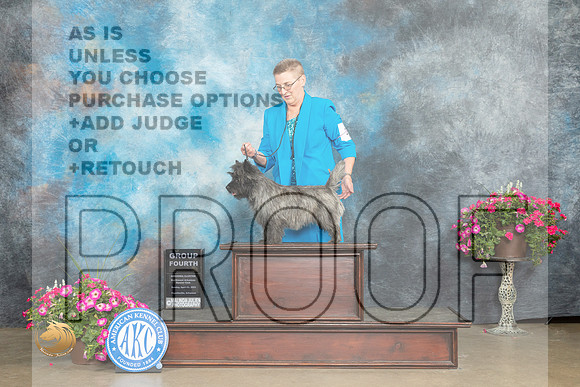 Cairn Terrier #11 Sun G4 Judge Pat Trotter_MJ_7478_ARK2023_HR3