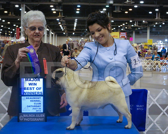 Pug-1686-HstnJ13HR