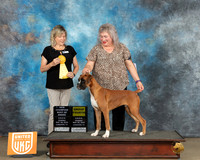 Billie Samuelson UKC Longview May 2023