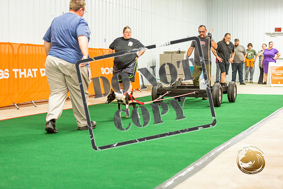 Weight Pull Thurs_JJL_0665-Premier2023
