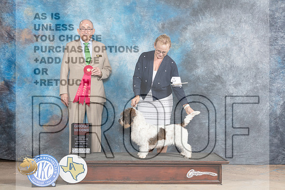 PBGV #6 Sat G2 Judge Joe WaltonMJP_1163_Abilene_2023_HR3