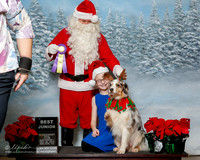 Australian Shepherd #? Sun S1 Santa Best Junior Gayla Rose