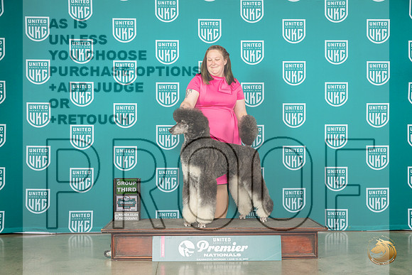 Poodle Std MC #770 Fri G3 Judge David KittredgeMJP_4827_Premier2023_HR3