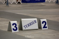 Terrier Group Sun Ring HR Abilene May 2013