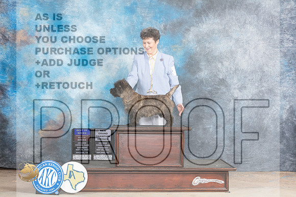 Cairn Terrier #5 Sat BOBOHBOBGCH Judge Beverly AndersenMJP_0835_Abilene_2023_HR3