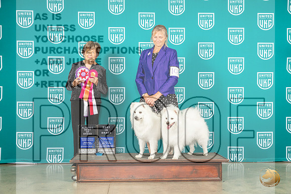 American Eskimo #102#103 Wed ABIS Judge Nancy GallantMJP_3446_Premier2023_HR3