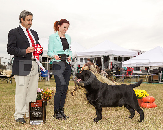 _JJ_2984-DFWLabNov2015-HR3