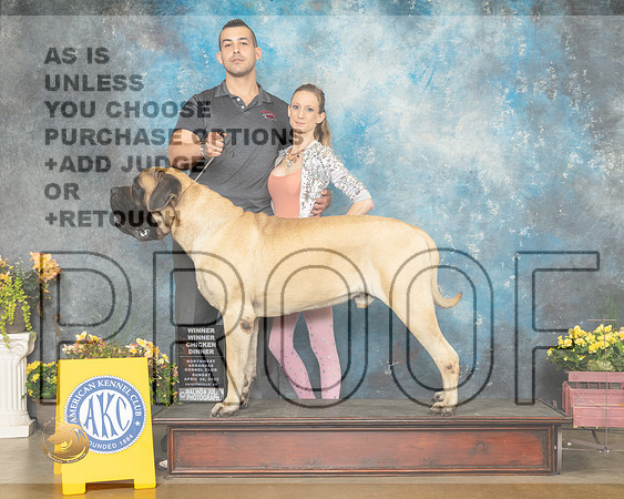 Mastiff #7 Sun Luper-MMJ_1294-NWARK2022-HR3