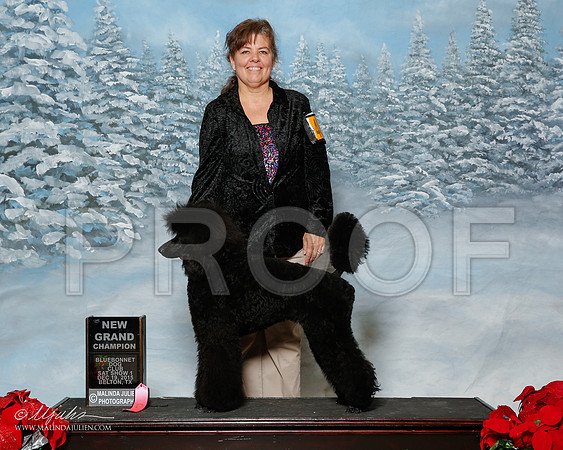 _R2_2702-2-BltnDec2015-HR3