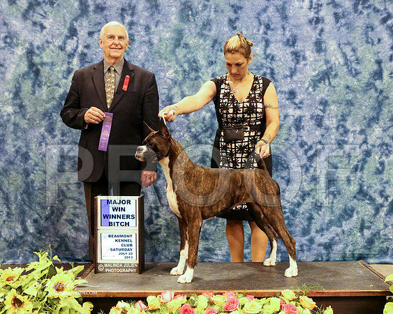 boxer-5758-HR HstnJul13