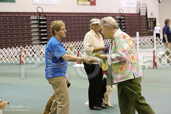 ObOpnA-0328-HR