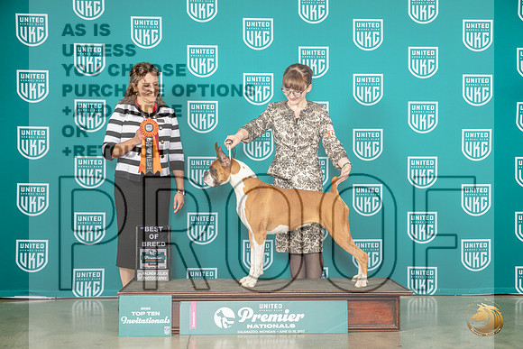Boxer #1409 Thur T10 Judge Patricia TillMJP_3908_Premier2023_HR3