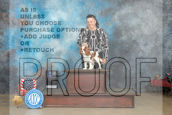 Cavalier King Charles Spaniel #5 Fri BOW Judge Pat Trotter_MJ_6235_ARK2023_HR3