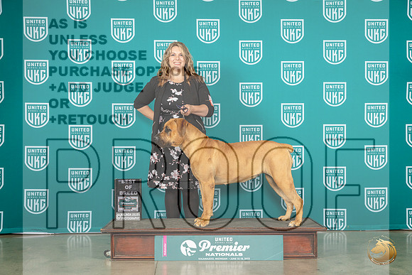 Boerbel #291 Fri BOB Judge Donna BeadleMJP_4516_Premier2023_HR3