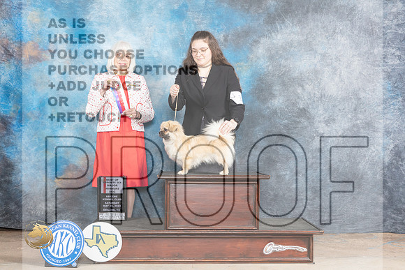 Judge #11 Sat BOSWB Judge Jan PaulkMJP_0799_Abilene_2023_HR3