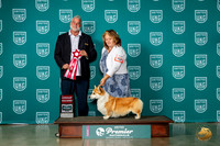 Pembroke Welsh Corgi #758 Fri G2 Judge Matthew Proctor