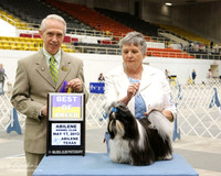 Shih Tzu #9 Fri BOB Renate Richter Judge Fred Bassett HR ABilene May 2013