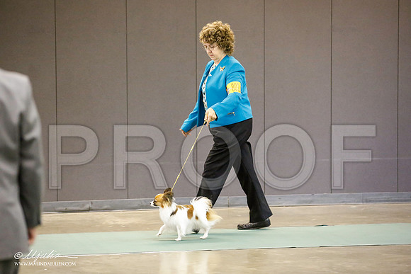 _JN_5743-BeltonJan2015-HR3