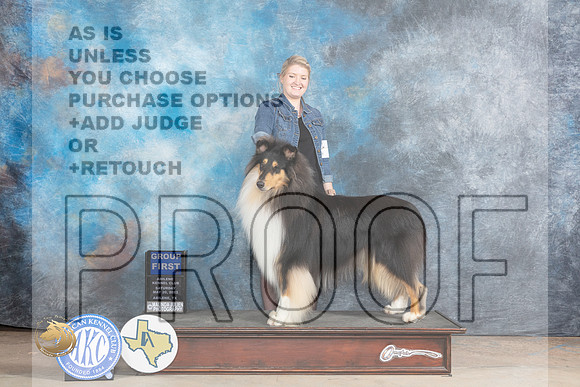 Collie Rough #G1 Judge Edweena (Teddy) Mc DowellMJP_1158_Abilene_2023_HR3