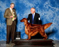 Irish Setter #5 Sat RBIS OH Dill Bruce Judge Jon cole