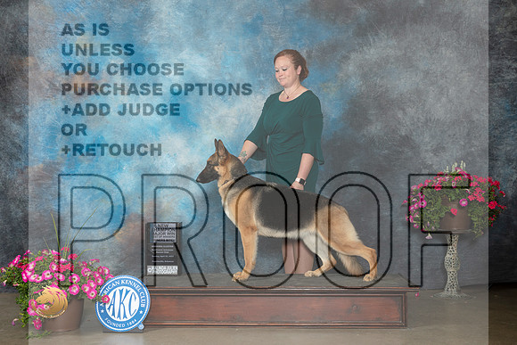 German Shepherd Dog #18 Sun WBBOWMCh Judge Janet Warner_MJ_7305_ARK2023_HR3