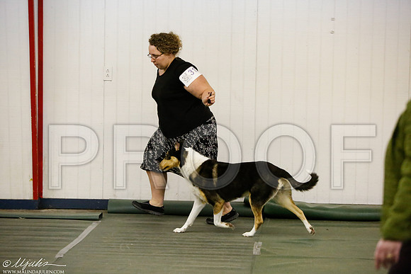 _MJ_5538-DentonMar2015-HR3