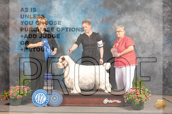 Clumber Spaniel #7 Sun G1 Judge Cindy Lane_MJ_1636_SA_2022_HR3