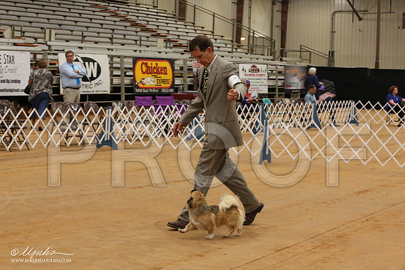 Tibbie-1783-Tex2013 HR3