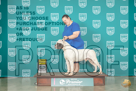 American Bulldog #421 Fri G4 Judge Donna BeadleMJP_4563_Premier2023_HR3