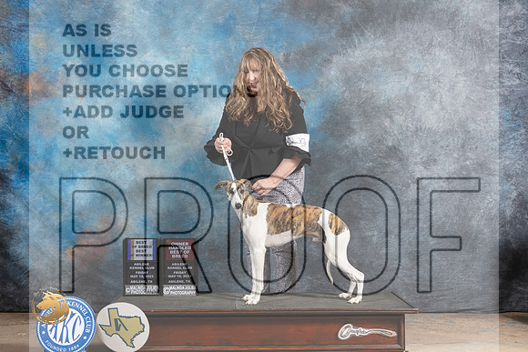 Whippet #9 Fri BOBBOWOHBOB Judge Terry BerriosMJP_0224_Abilene_2023_HR3
