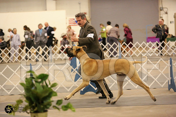 Dane-6101-MIdFeb14-HR