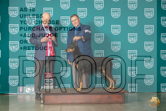 Doberman Pinscher Sat #623 AG2 Judge Ron HornMJP_5222_Premier2023_HR3