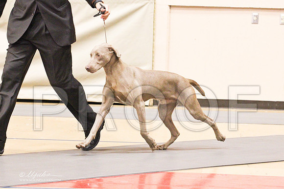 Weim-4217LR