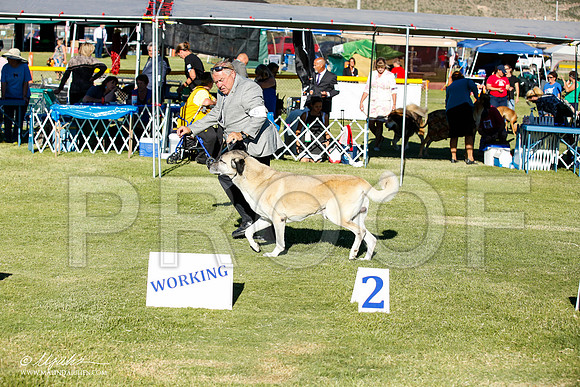 _JN_9845-AlamogordoOct2014-HR3