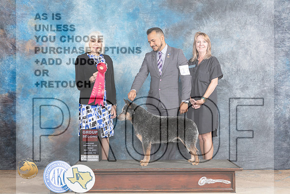 Australian Cattle Dog #17 Fri G2 Judge Jan PaulkMJP_0350_Abilene_2023_HR3