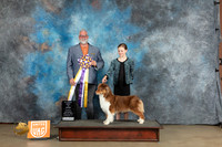 Australian Shepherd #152 Sat Judge Matthew Proctor