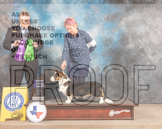 Cardigan Welsh Corgi #57 Fri WDBOS Judge Patrick Smith-MMJ_7552-FW2022-HR3