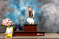 Pomeranian #11 THUR WD BOW Judge Joe Walton