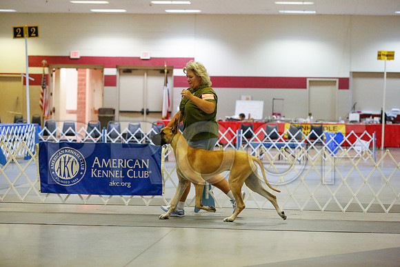 _JN_8782-AmarilloSept2014-HR3