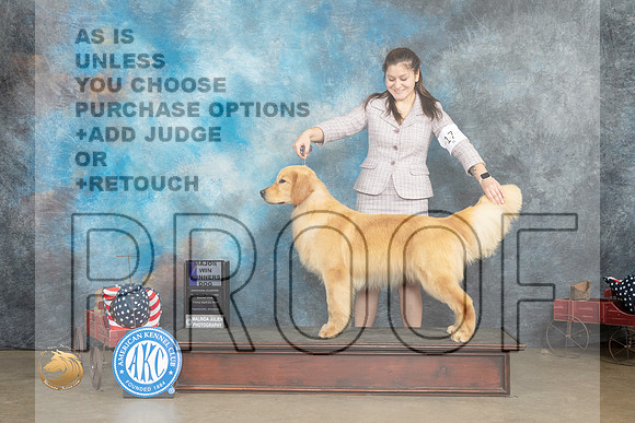 Golden Retriever #17 Fri WD Judge Pat Trotter_MJ_5964_ARK2023_HR3