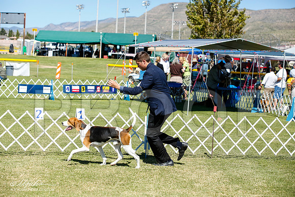 _JN_5209-AlamogordoOct2014-HR3
