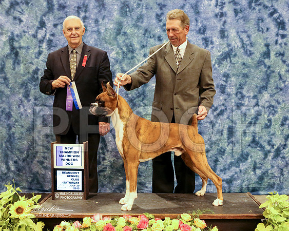 boxer-5704-HR HstnJul13