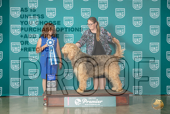 Otterhound #1299 Sat AG1 Judge Tricia TillMJP_5323_Premier2023_HR3