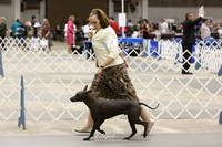 Xolo Fri Ring HR Abilene May 2013
