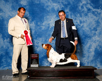 Basset Hound #9 sun G2 Farias Rodolfo Ruiz Judge Ricardo Forastieri Gonzalez