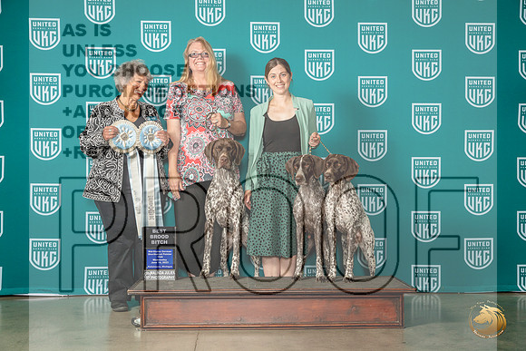 German Shorthaired Pointer #? Brace Judge Mary KingMJP_3527_Premier2023_HR3
